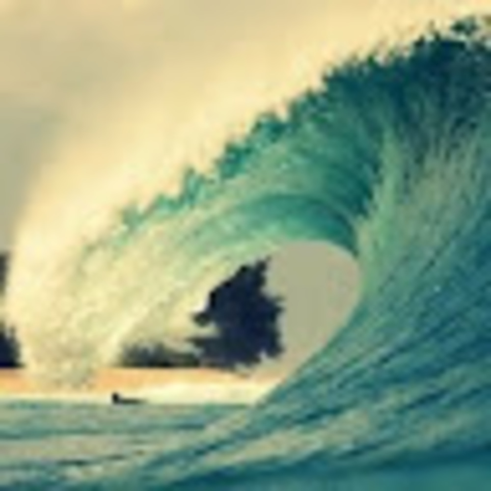 Meet your Posher, Brenna